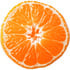 Corsican clementine